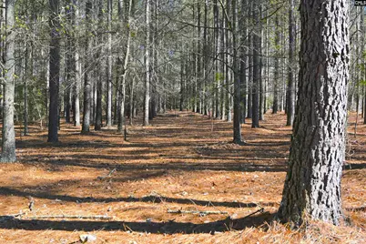 707 Mt Ebal Road, Batesburg, SC 29006 - Photo 12