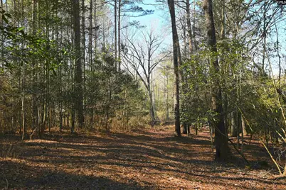 707 Mt Ebal Road, Batesburg, SC 29006 - Photo 8