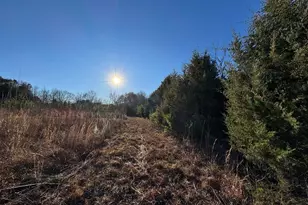 150 Floyd Lanford Rd, Woodruff, SC 29388 - Photo 66