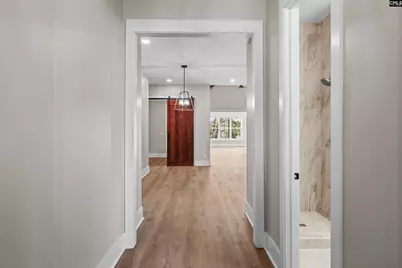 811 Elms Spinney Lane, Chapin, SC 29036 - Photo 4