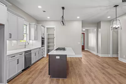 811 Elms Spinney Lane, Chapin, SC 29036 - Photo 8