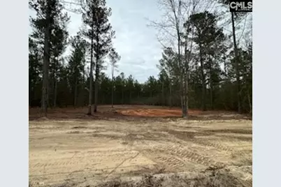 07B Otis Baughman S.R. Road, Wagener, SC 29164 - Photo 1