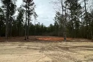 07 Otis Baughman S R Rd, Wagener, SC 29164 - Photo 1