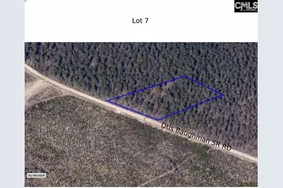 07B Otis Baughman S.R. Road, Wagener, SC 29164 - Photo 2