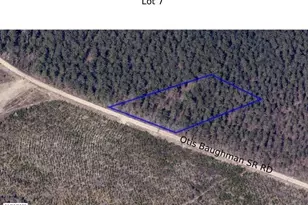 07 Otis Baughman S R Rd, Wagener, SC 29164 - Photo 1