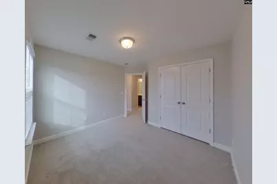 1138 Bergenfield Lane, Chapin, SC 29036 - Photo 12