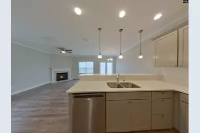 1138 Bergenfield Lane, Chapin, SC 29036 - Photo 6