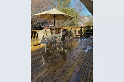 4 Holly Hedge Court, Blythewood, SC 29016 - Photo 24
