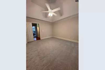 4 Holly Hedge Court, Blythewood, SC 29016 - Photo 12