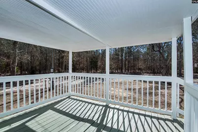 113 Patricia Ave, Pelion, SC 29123 - Photo 14