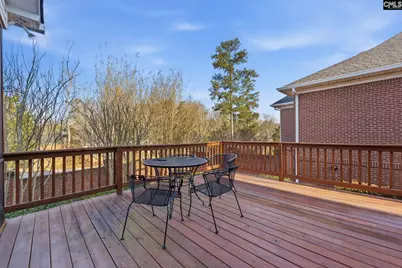 203 Savannah Branch Trail, Irmo, SC 29063 - Photo 36