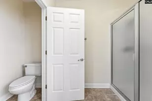203 Savannah Branch Trail, Irmo, SC 29063 - Photo 24
