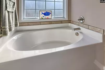 246 Woodmill Circle, Lexington, SC 29072 - Photo 40