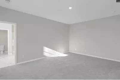 265 Boseman Road, Irmo, SC 29063 - Photo 20