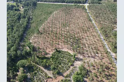 1010 Mt. Zion Road #Tract H-1, Camden, SC 29020 - Photo 2