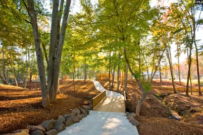 1209 Tributary Road, Lexington, SC 29072 - Photo 4