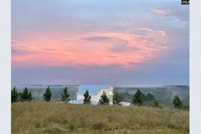 3921 Golden Crane Pass, Lexington, SC 29073 - Photo 12