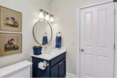 117 Bay Pointe Drive, Chapin, SC 29036 - Photo 26