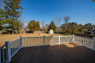 229 Dutchman Shores Circle, Chapin, SC 29036 - Photo 16