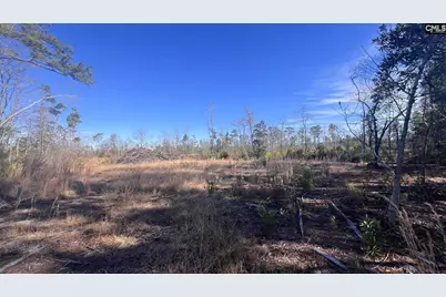 Tbd Epps Road, Manning, SC 29102 - Photo 12