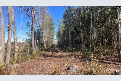 Tbd Epps Road, Manning, SC 29102 - Photo 2