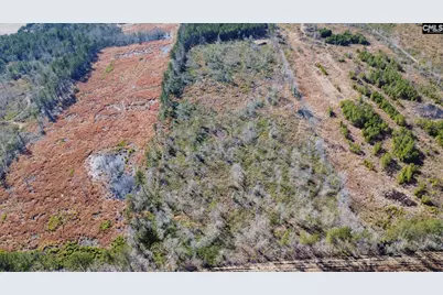 Tbd Epps Road, Manning, SC 29102 - Photo 4
