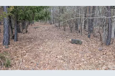 Lot 2 Retreat Way #2, Ridgeway, SC 29130 - Photo 18