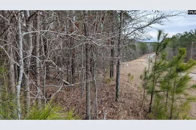 Lot 2 Retreat Way #2, Ridgeway, SC 29130 - Photo 22