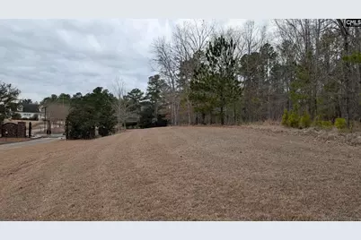 Lot 2 Retreat Way #2, Ridgeway, SC 29130 - Photo 4