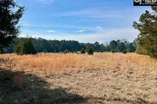 159 Claude Counts Rd, Prosperity, SC 29127 - Photo 1