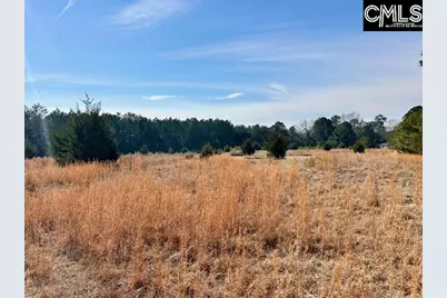 159 Claude Counts Road, Prosperity, SC 29127 - Photo 2