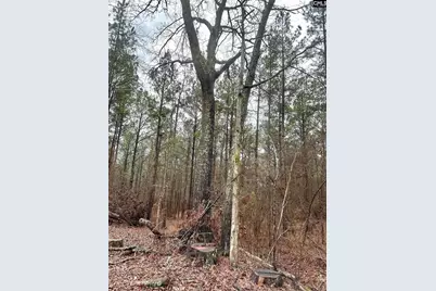 1178 Great Falls Highway #3, Chester, SC 29706 - Photo 2