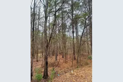 1178 Great Falls Highway #3, Chester, SC 29706 - Photo 1