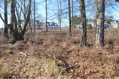 10 Big Water View, Ridgeway, SC 29130 - Photo 10