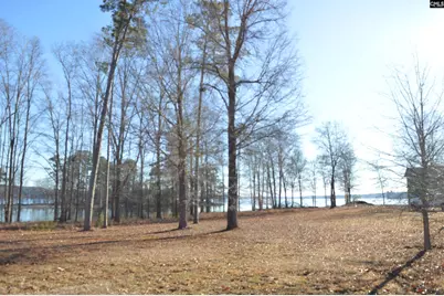 10 Big Water View, Ridgeway, SC 29130 - Photo 6