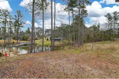 334 Breezy Bay Court, Gilbert, SC 29054 - Photo 6