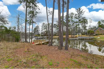 334 Breezy Bay Court, Gilbert, SC 29054 - Photo 10