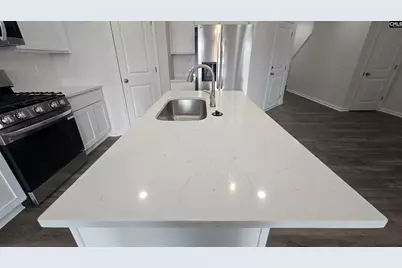 264 Sunny Hill Drive, Blythewood, SC 29016 - Photo 10