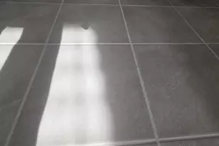 264 Sunny Hl Dr, Blythewood, SC 29016 - Photo 22