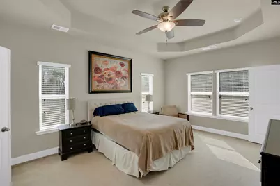 315 Eagle Claw Drive, Chapin, SC 29036 - Photo 20