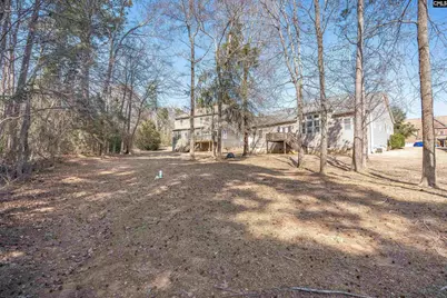 315 Eagle Claw Drive, Chapin, SC 29036 - Photo 36
