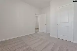 262 Boseman Rd, Irmo, SC 29063 - Photo 20