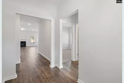 262 Boseman Road, Irmo, SC 29063 - Photo 6