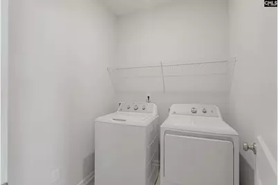 262 Boseman Road, Irmo, SC 29063 - Photo 22