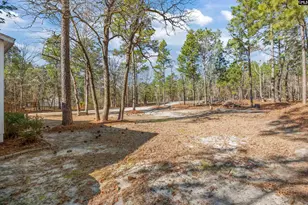 381 McLee Rd, Lexington, SC 29073 - Photo 28