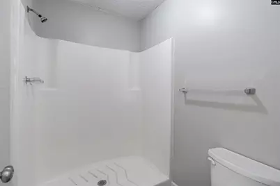 153 Twisted Hill Road, Irmo, SC 29063 - Photo 16