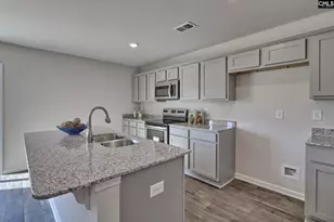 177 Calm Citadel Dr, Pelion, SC 29123 - Photo 8