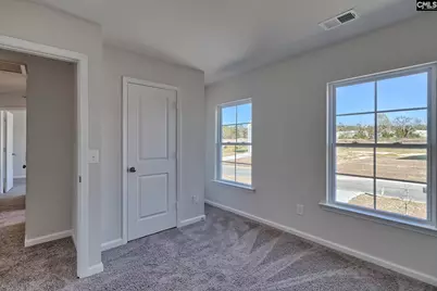 177 Calm Citadel Drive, Pelion, SC 29123 - Photo 20