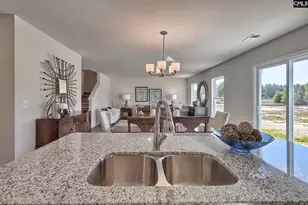 177 Calm Citadel Dr, Pelion, SC 29123 - Photo 10