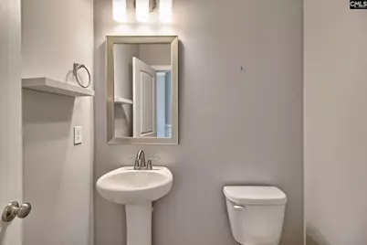 1420 Saugus Court, Chapin, SC 29036 - Photo 32